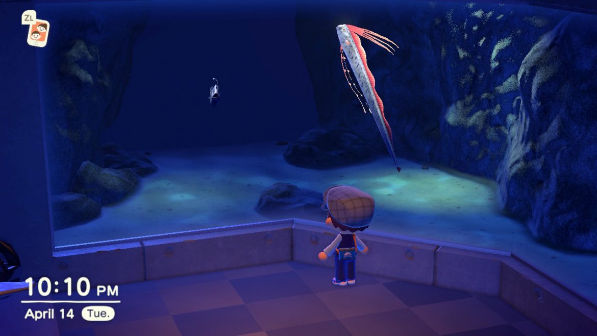 Animal Crossing New Horizons How to catch giant fish like Coelacanth