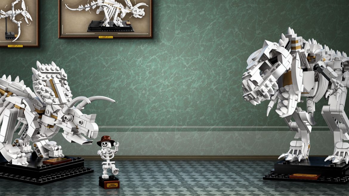 zoombackgroundlego1